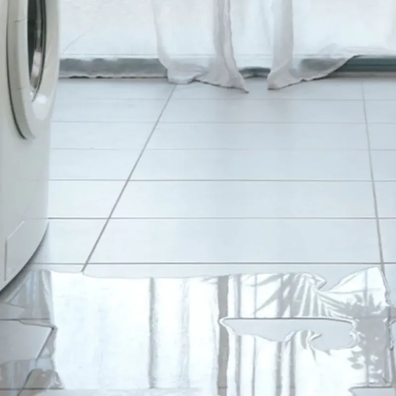 Appliance Leak Cleanup in Sierra View, PA