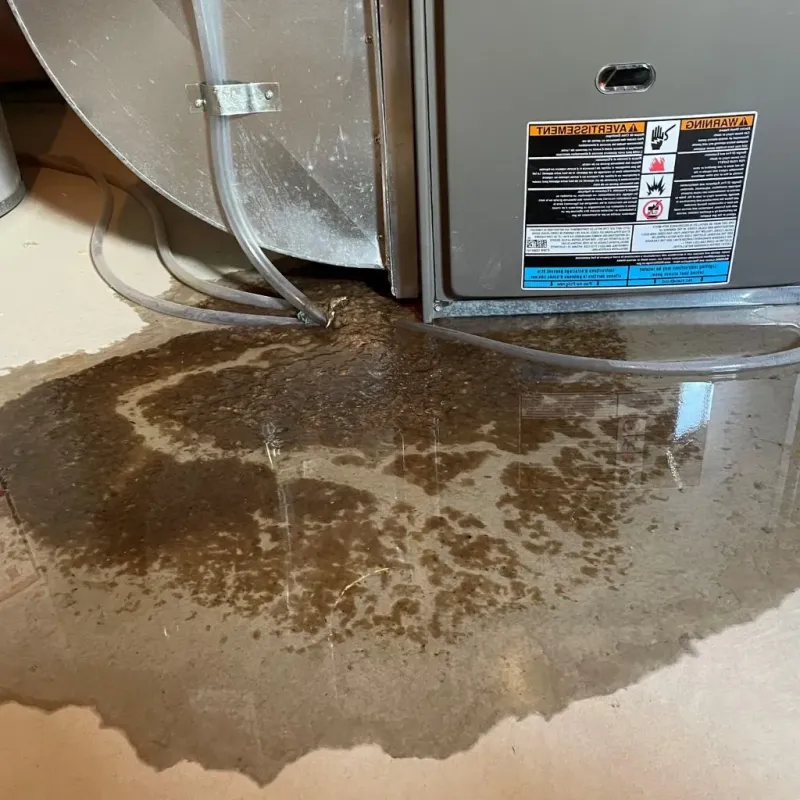 Pipe Burst and Leak Restoration in Sierra View, PA