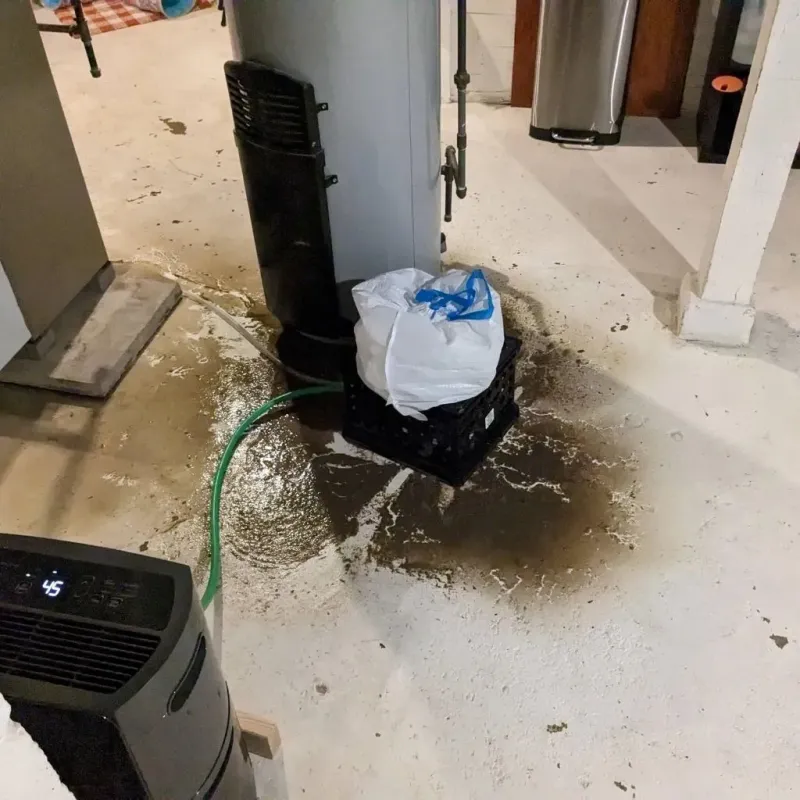 Sewage Backup Cleanup Service in Sierra View, PA